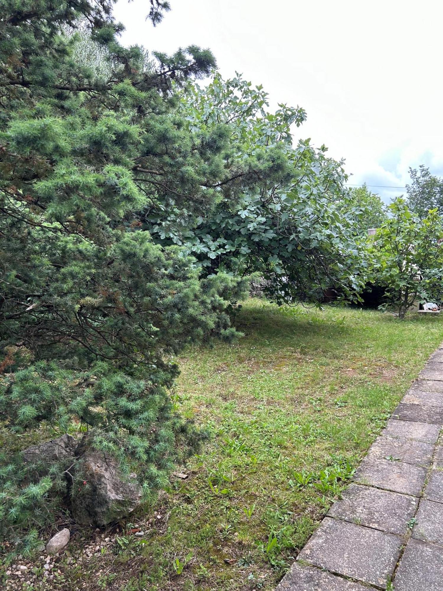 Apartment Nona - 200m From The